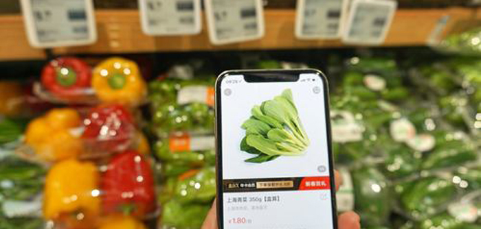 订单农业