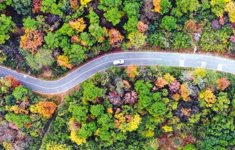 美丽村路赋能乡村振兴