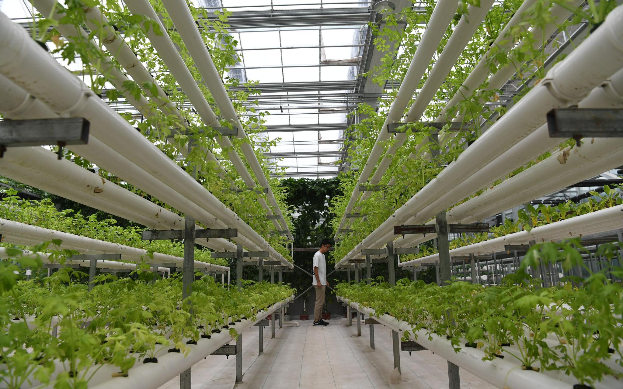 江苏省农业设施设备更新提升实施方案